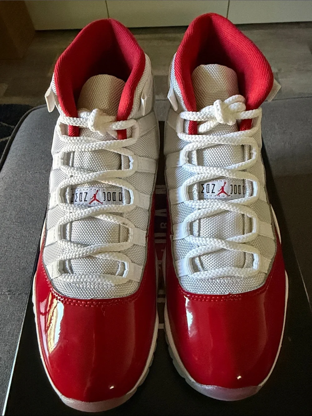 Jordan air 11